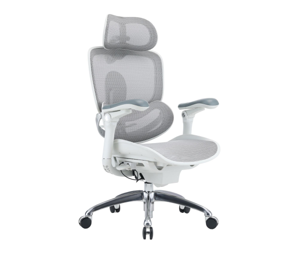 Sihoo DORO C300 PRO V2 biały - 1598807 - zdjęcie
